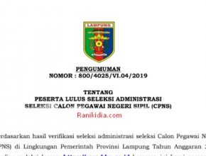 Rekapan Daftar Nama Lulus Seleksi Administrasi CPNS 2019 KAB/Kota Se-Provinsi Lampung